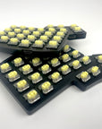 Iris LM Polycarbonate Case